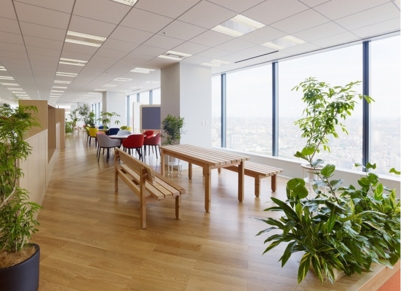 gypsum acoustic ceiling